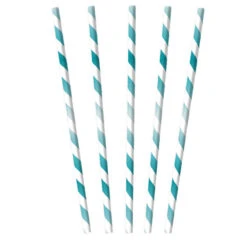 Amscan Papieren Rietjes Mint 12ST