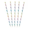 Amscan Papieren Rietjes Pastel Mix 12ST -Feestbenodigdheden amscan papieren rietjes pastel mix 12st