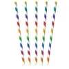 Amscan Papieren Rietjes Rainbow Mix 12ST