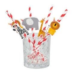 Boland Papieren Rietjes Safari 20CM (6ST)