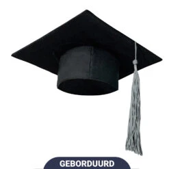 Party Love NL Premium Afstudeerhoedje U.S.A. Original 29cm X 29cm Zilveren Tassel