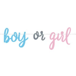 Unique Letterslinger Gender Reveal Boy Or Girl 2.1M