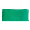 We Fiesta Party Groene Crepe Slinger 6M 2 We Fiesta Party Groene Crepe Slinger 6M -Feestbenodigdheden we fiesta party groene crepe slinger 6m