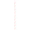 We Fiesta Party Papieren Rietjes Baby Roze 12ST -Feestbenodigdheden we fiesta party papieren rietjes baby roze 12st